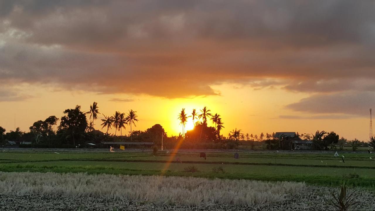 Segara Urip Appartement Negara  Buitenkant foto